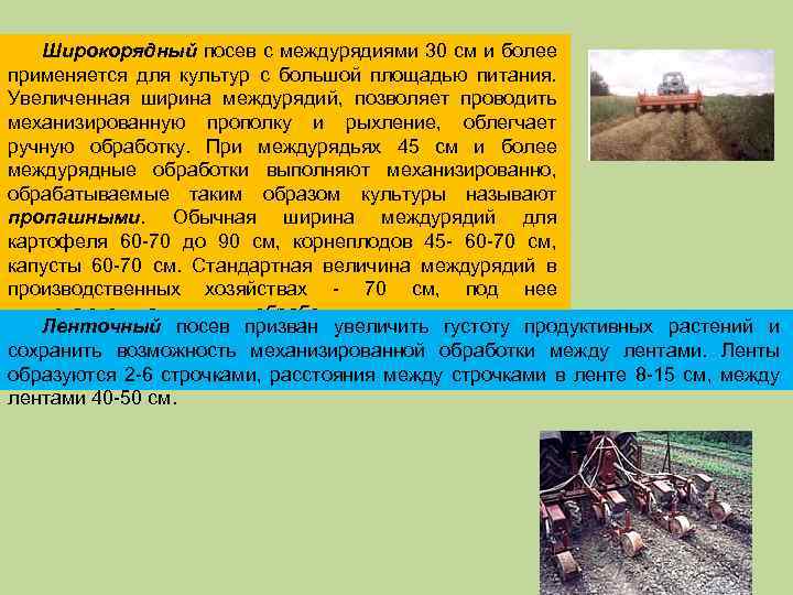 Широкорядный посев с междурядиями 30 см и более применяется для культур с большой площадью