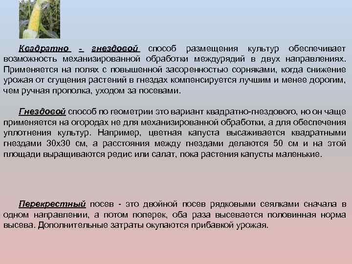 Квадратно - гнездовой способ размещения культур обеспечивает возможность механизированной обработки междурядий в двух направлениях.