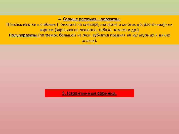 4. Сорные растения – паразиты. Присасываются к стеблям (повилика на клевере, люцерне и многих