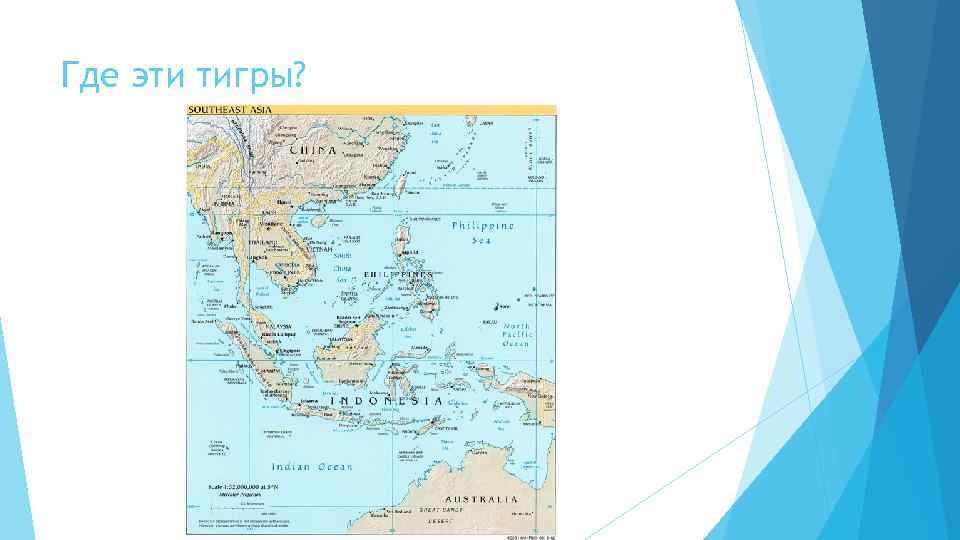 Где эти тигры? 