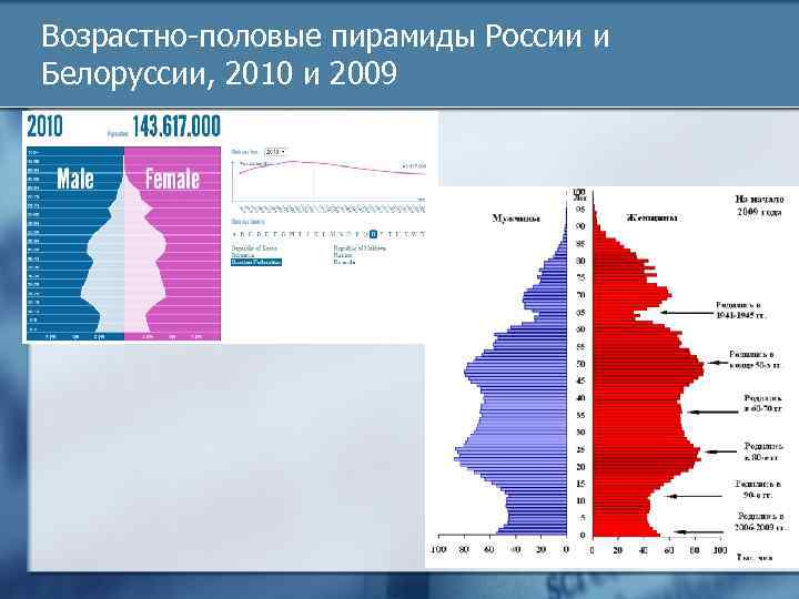 Возрастно половая пирамида