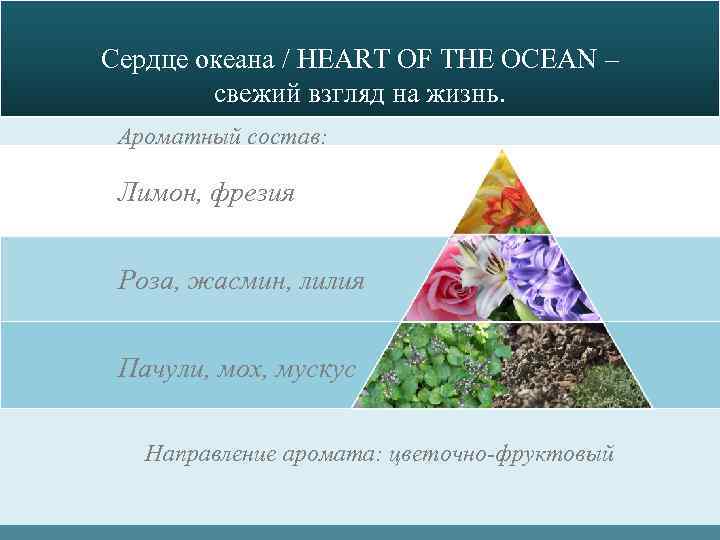 Сердце океана / HEART OF THE OCEAN – свежий взгляд на жизнь. Ароматный состав: