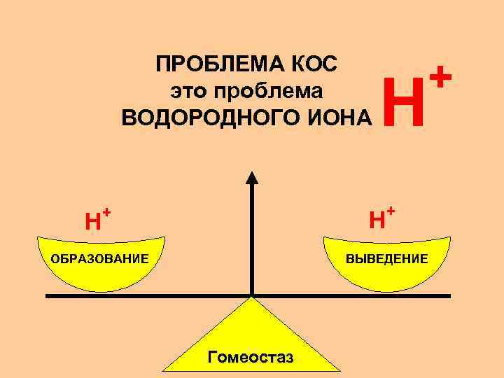 ПРОБЛЕМА КОС это проблема ВОДОРОДНОГО ИОНА + H + + H H ОБРАЗОВАНИЕ ВЫВЕДЕНИЕ