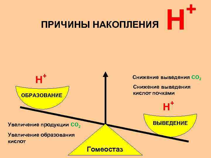 ПРИЧИНЫ НАКОПЛЕНИЯ + H Снижение выведения CO 2 Снижение выведения кислот почками ОБРАЗОВАНИЕ +