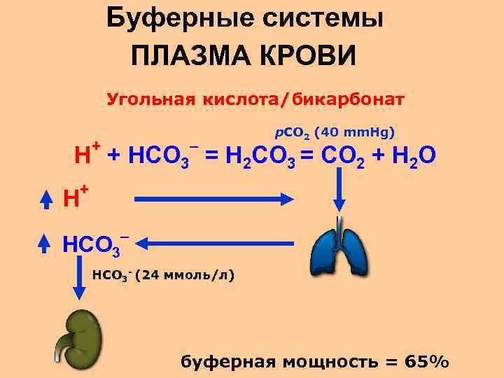 Бикарбонатная буферная система схема - 96 фото