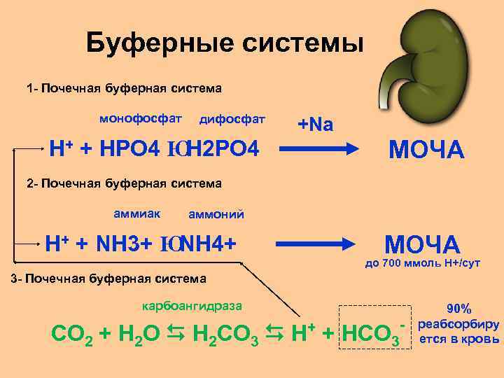 Буферные системы 1 - Почечная буферная система монофосфат дифосфат +Na МОЧА Н+ + НРО