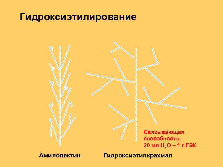 Гидроксиэтилирование Связывающая способность: 20 мл H 2 O – 1 г ГЭК Амилопектин Гидроксиэтилкрахмал