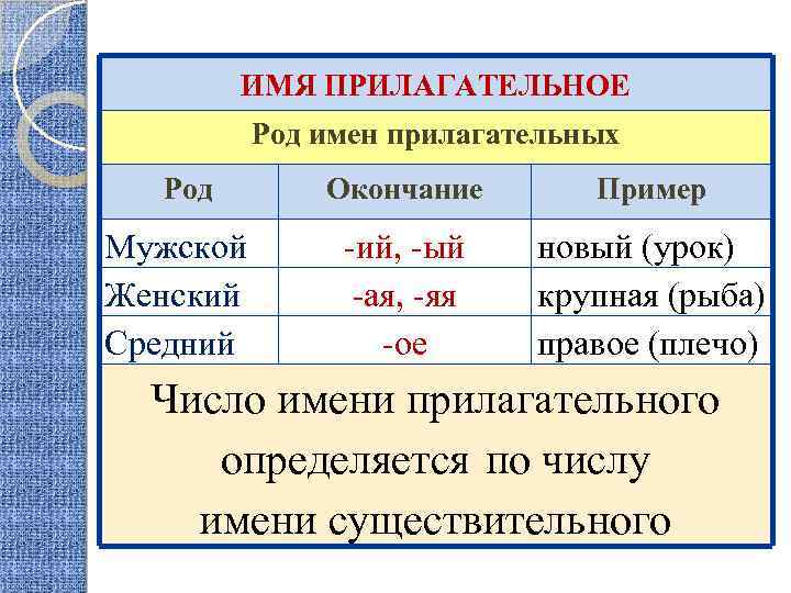 ИМЯ ПРИЛАГАТЕЛЬНОЕ Род имен прилагательных Род Мужской Женский Средний Окончание Пример -ий, -ый -ая,