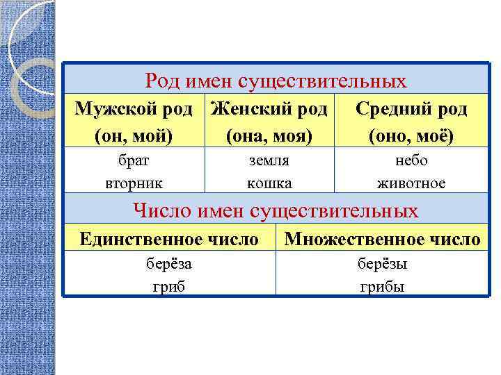 Род имен существительных Мужской род Женский род (он, мой) (она, моя) брат вторник земля