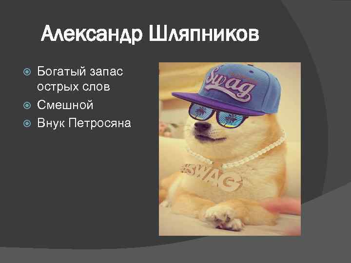 Александр Шляпников Богатый запас острых слов Смешной Внук Петросяна 