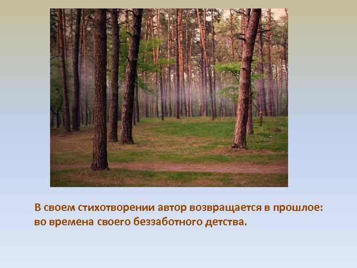 В своем стихотворении автор возвращается в прошлое: во времена своего беззаботного детства. 