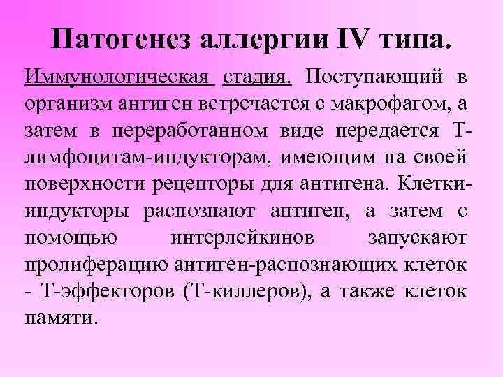 Патогенез аллергии IV типа. Иммунологическая стадия. Поступающий в организм антиген встречается с макрофагом, а