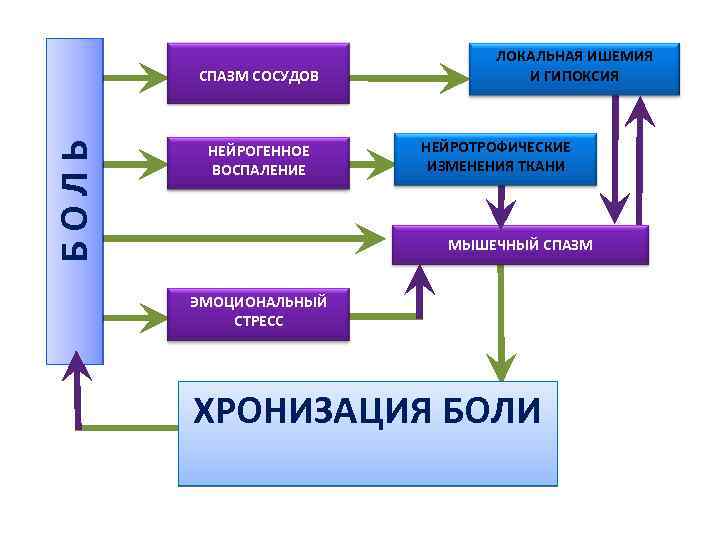 БОЛЬ СПАЗМ СОСУДОВ НЕЙРОГЕННОЕ ВОСПАЛЕНИЕ ЛОКАЛЬНАЯ ИШЕМИЯ И ГИПОКСИЯ НЕЙРОТРОФИЧЕСКИЕ ИЗМЕНЕНИЯ ТКАНИ МЫШЕЧНЫЙ СПАЗМ
