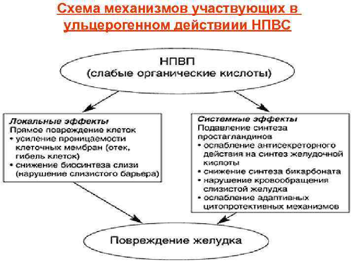 Схема механизмов участвующих в ульцерогенном действиии НПВС 
