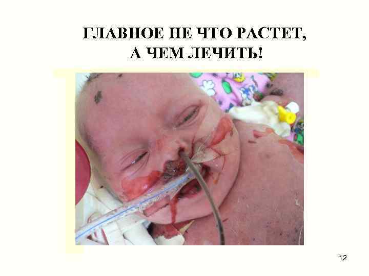 ГЛАВНОЕ НЕ ЧТО РАСТЕТ, А ЧЕМ ЛЕЧИТЬ! 12 