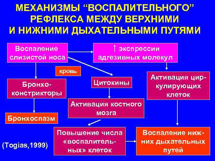 МЕХАНИЗМЫ “ВОСПАЛИТЕЛЬНОГО” РЕФЛЕКСА МЕЖДУ ВЕРХНИМИ И НИЖНИМИ ДЫХАТЕЛЬНЫМИ ПУТЯМИ Воспаление слизистой носа экспрессии адгезивных
