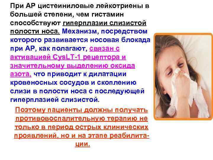  При АР цистеиниловые лейкотриены в большей степени, чем гистамин способствуют гиперплазии слизистой полости