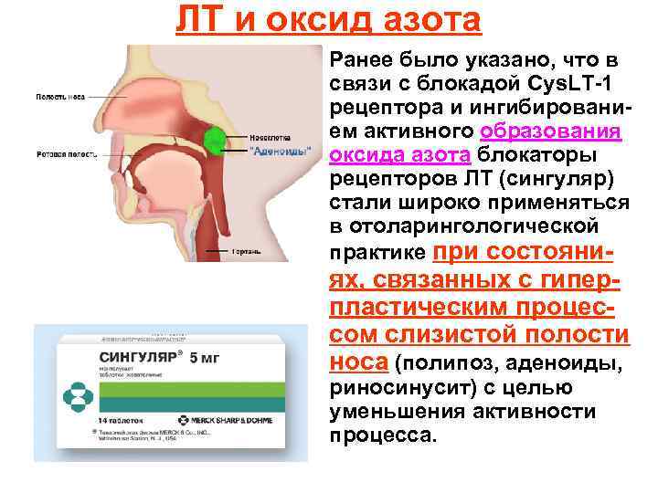 ЛТ и оксид азота Ранее было указано, что в связи с блокадой Cys. LT-1