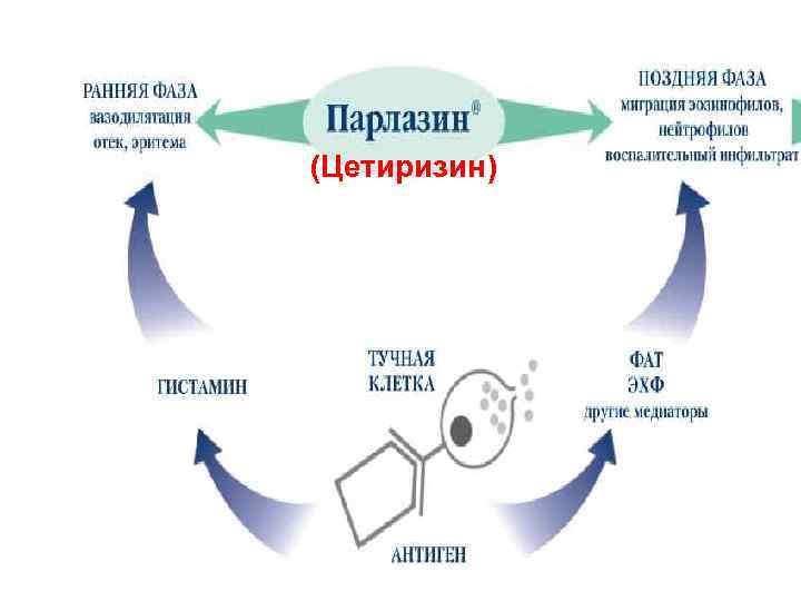 (Цетиризин) 