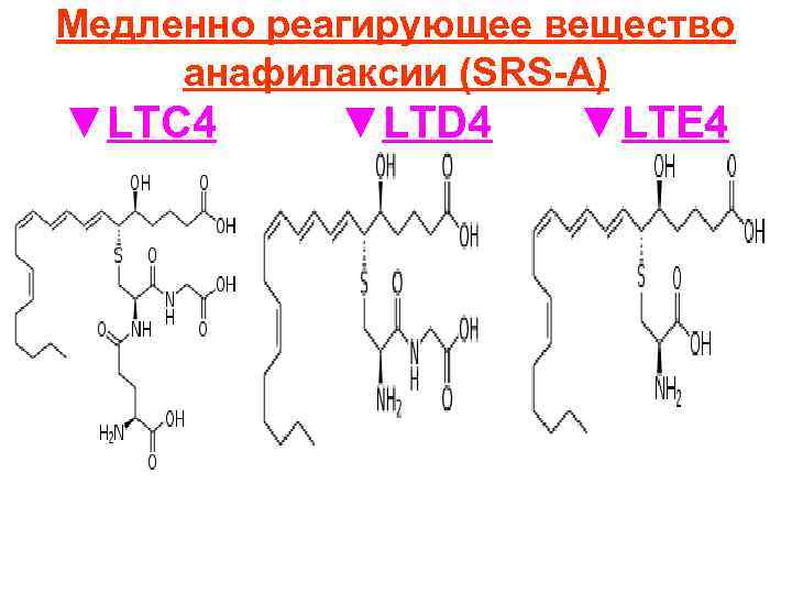 Медленно реагирующее вещество анафилаксии (SRS-A) ▼LTC 4 ▼LTD 4 ▼LTE 4 