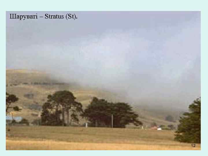 Шаруваті – Stratus (St). 12 