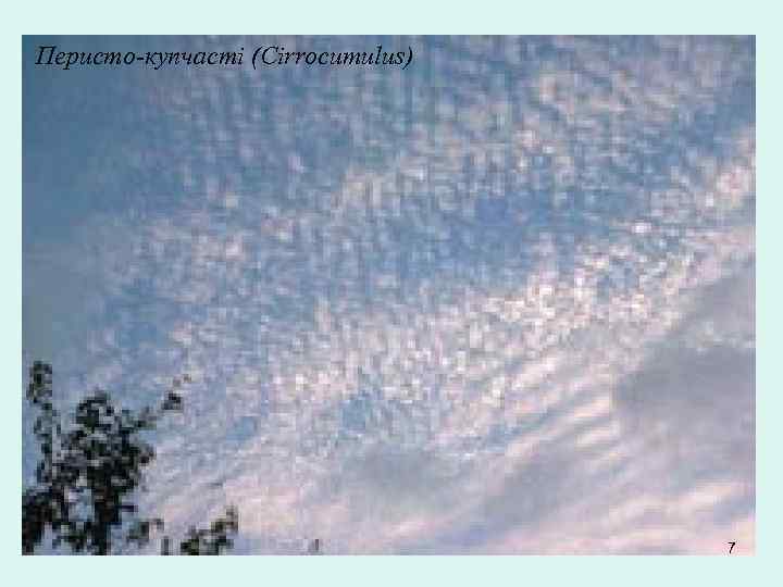 Перисто-купчасті (Cirrocumulus) 7 