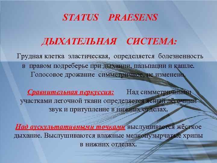 STATUS PRAESENS ДЫХАТЕЛЬНАЯ СИСТЕМА: Грудная клетка эластическая, определяется болезненность в правом подреберье при дыхании,