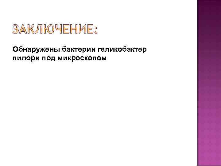 Обнаружены бактерии геликобактер пилори под микроскопом 