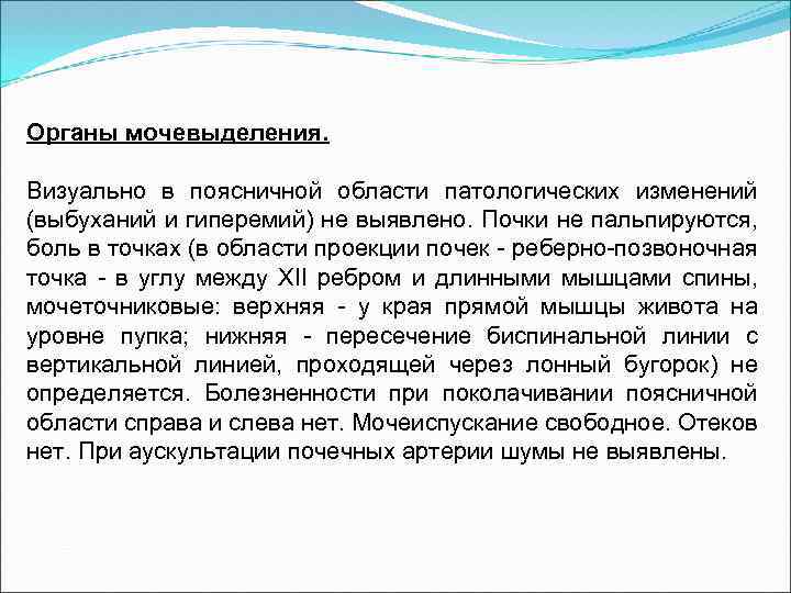 Органы мочевыделения. Визуально в поясничной области патологических изменений (выбуханий и гиперемий) не выявлено. Почки