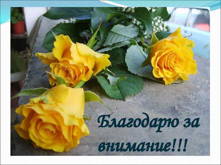 Благодарю за внимание!!! 