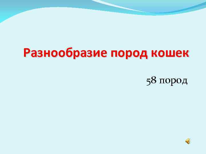 Разнообразие пород кошек 58 пород 