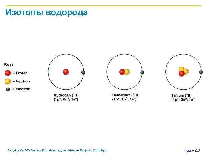 Изотопы водорода Copyright © 2006 Pearson Education, Inc. , publishing as Benjamin Cummings Figure