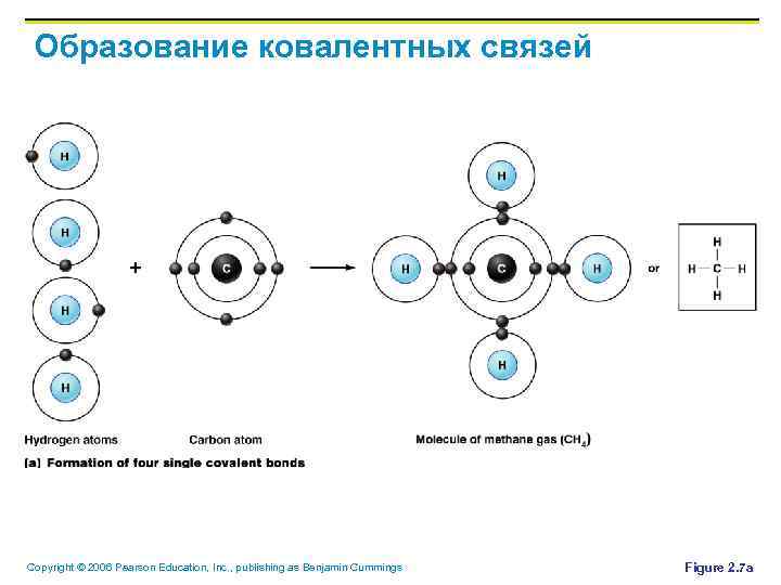 Образование ковалентных связей Copyright © 2006 Pearson Education, Inc. , publishing as Benjamin Cummings