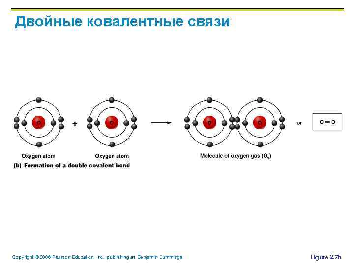 Двойные ковалентные связи Copyright © 2006 Pearson Education, Inc. , publishing as Benjamin Cummings