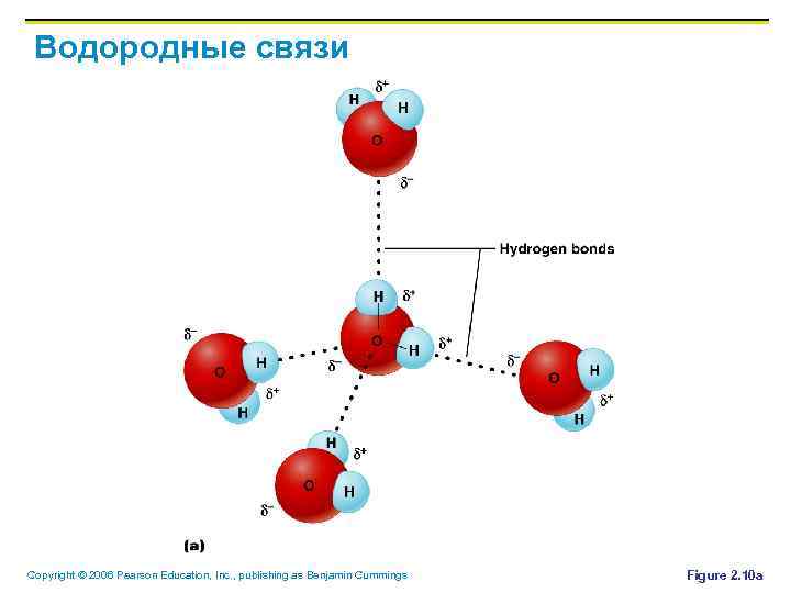 Водородные связи Copyright © 2006 Pearson Education, Inc. , publishing as Benjamin Cummings Figure