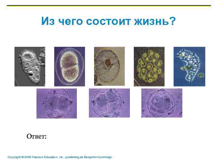 Из чего состоит жизнь? Ответ: Copyright © 2006 Pearson Education, Inc. , publishing as