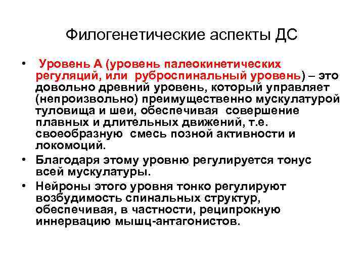 Филогенетические аспекты ДС • Уровень А (уровень палеокинетических регуляций, или руброспинальный уровень) – это