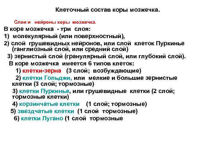 Клеточный состав коры мозжечка. Слои и нейроны коры мозжечка. В коре мозжечка - три