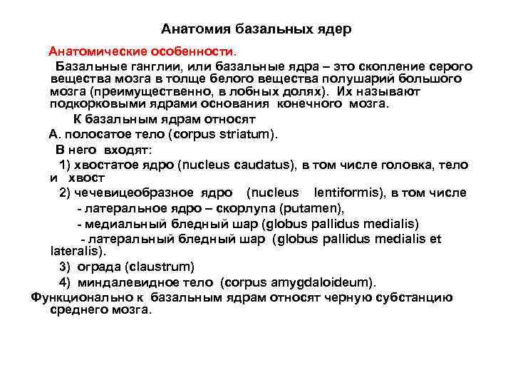 Анатомия базальных ядер Анатомические особенности. Базальные ганглии, или базальные ядра – это скопление серого