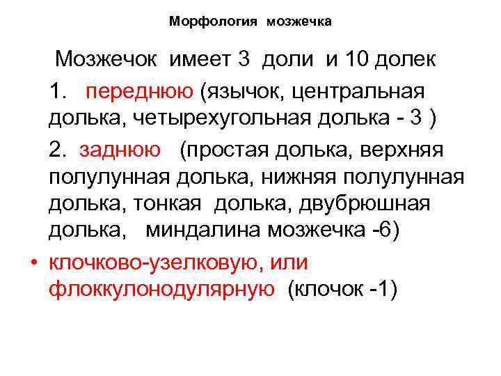 Морфология мозжечка Мозжечок имеет 3 доли и 10 долек 1. переднюю (язычок, центральная долька,