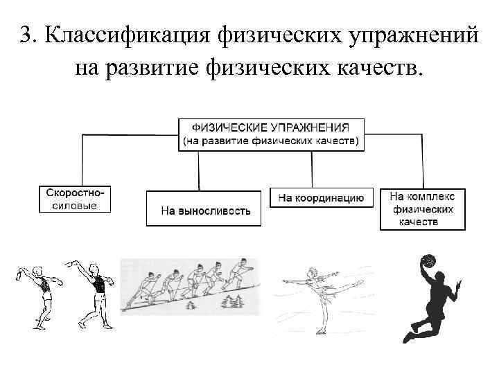 Схема классификация физических упражнений