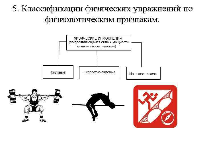 Классификация видов физических упражнений