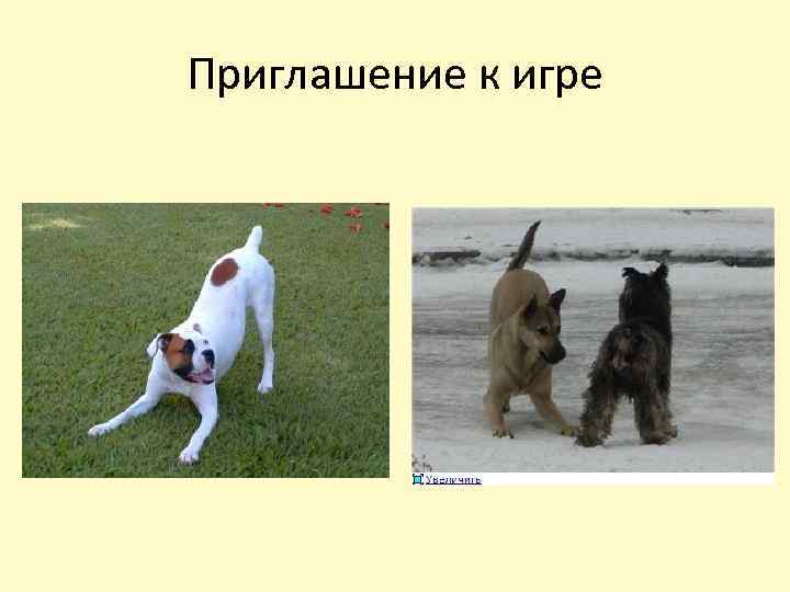 Приглашение к игре 