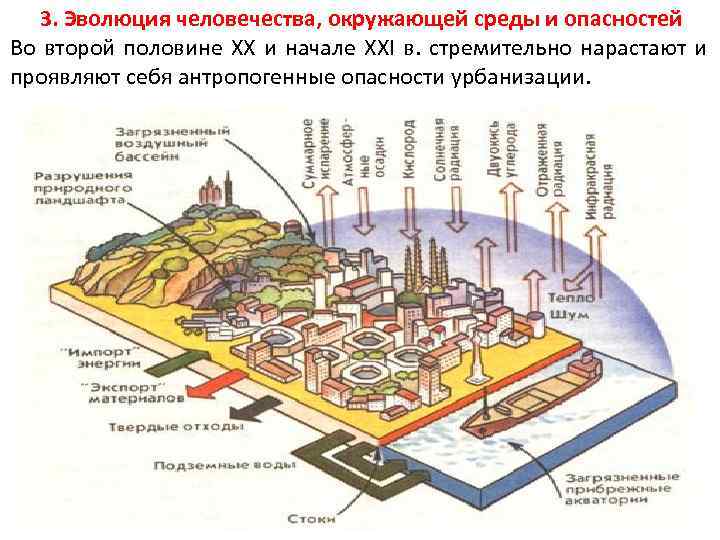 Октябрь в городе схема. Экосистема города схема. Экосистема городской среды. Городские экосистемы презентация. Город как экологическая система.