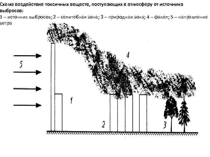 Схема воздействия токсичных веществ, поступающих в атмосферу от источника выбросов: 1 – источник выбросов;