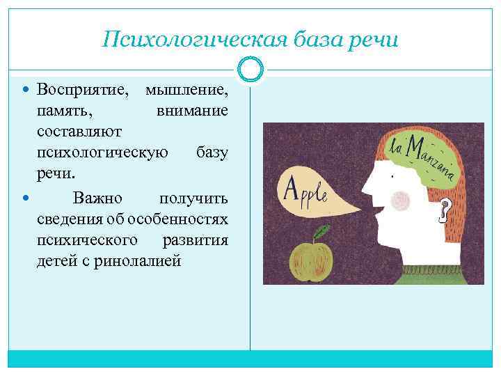 Психологическая база речи Восприятие, мышление, память, внимание составляют психологическую базу речи. Важно получить сведения