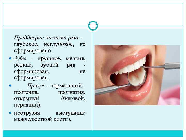 Преддверие полости рта глубокое, не сформировано. Зубы крупные, мелкие, редкие, зубной ряд сформирован, не