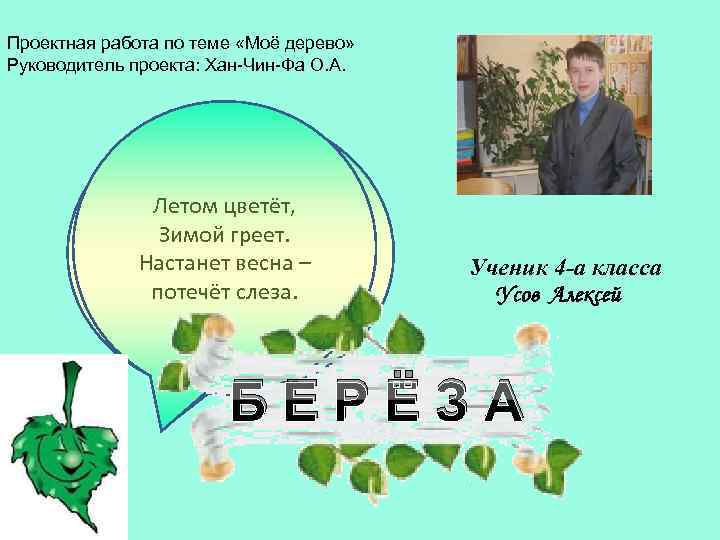 Проектная работа по теме «Моё дерево» Руководитель проекта: Хан-Чин-Фа О. А. Стоит красавица на