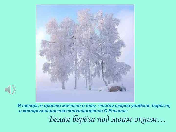 И теперь я просто мечтаю о том, чтобы скорее увидеть берёзки, о которых написано