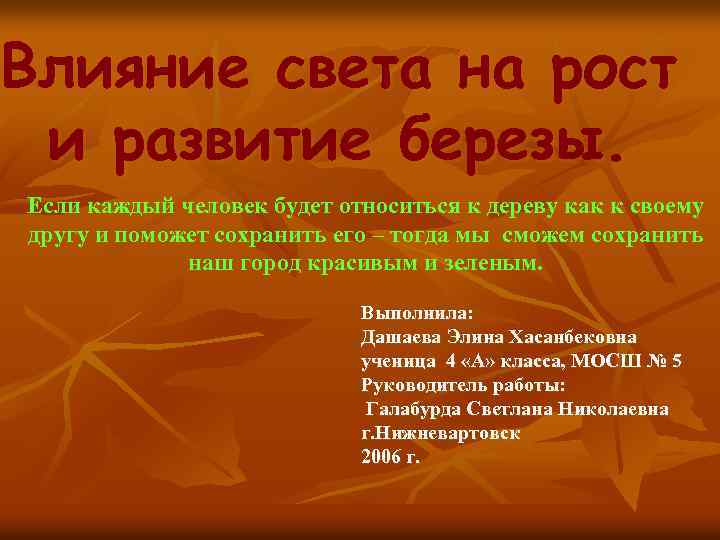 Влияние света на рост и развитие березы. Если каждый человек будет относиться к дереву